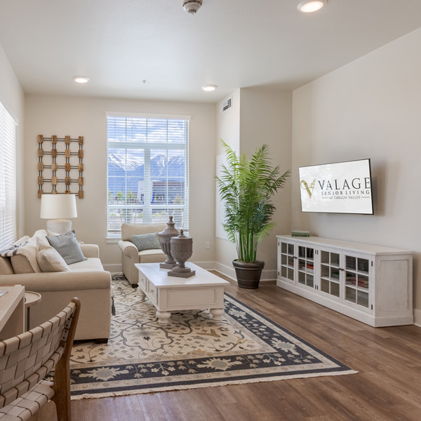 Bright, modern living room at Valage Senior Living with a sofa, armchair, coffee table, rug, potted plant, and TV. A large window fills the neutral, inviting space with natural light—perfect for relaxation and comfort.