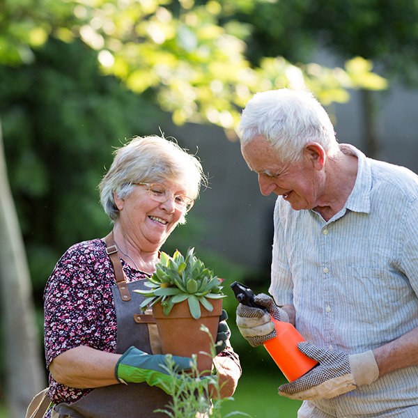 Two smiling older adults gardening outdoors. The woman holds a potted succulent, and the man holds a spray bottle. They wear gardening gloves and appear happy, standing in a lush garden with trees in the background.